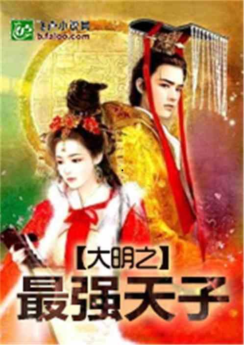 大明吃瓜王小说,宫廷风云下的美食传奇