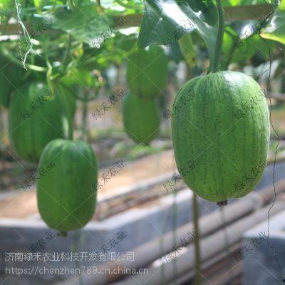 苹果吃外网瓜,揭秘科技巨头的新动向