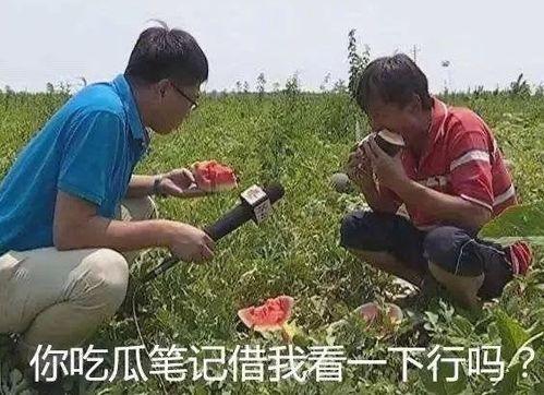 吃瓜运动,揭秘网络舆论狂欢背后的真相