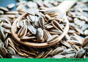 吃瓜指吃瓜子,从吃瓜子到吃瓜文化的演变之旅