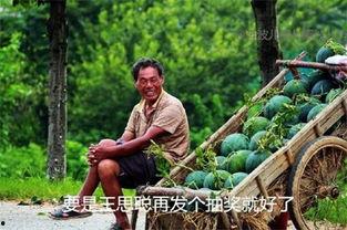 吃瓜吃死的人叫什么,揭秘“吃瓜人”的悲剧命运