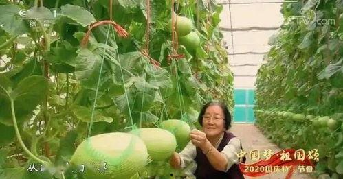 广西最新吃瓜事件